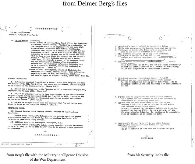06 Delmer berg files